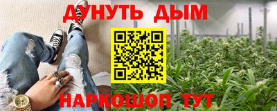 сатива Краснознаменск