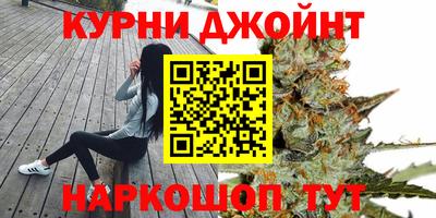 сатива Краснознаменск