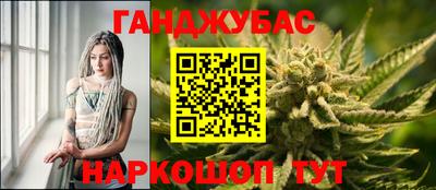 сатива Краснознаменск